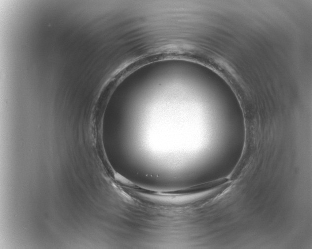 X0000070881018200606302132