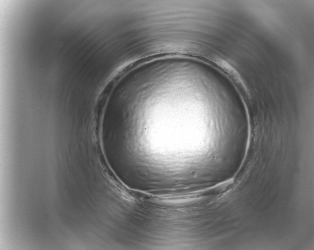 X0000070881019200606302132