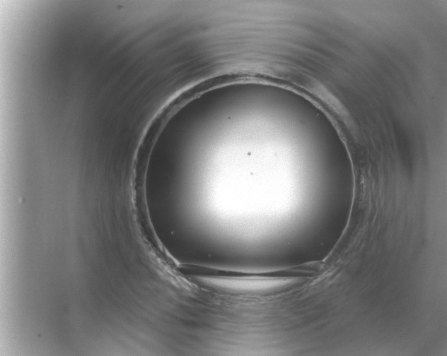 X0000070881020200606302132