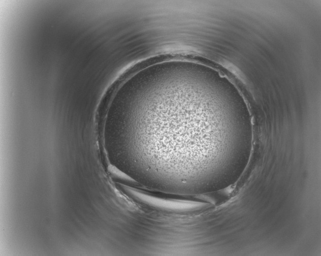 X0000070881022200606302132