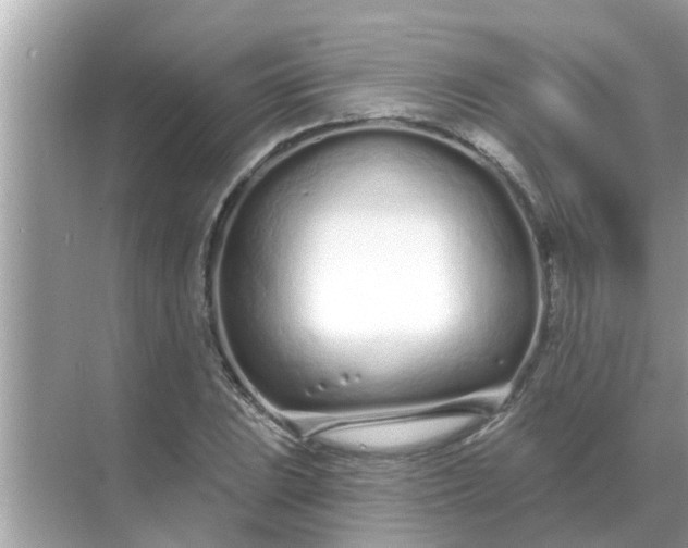 X0000070881023200606302132