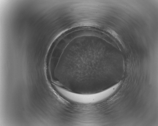 X0000070881024200606302132