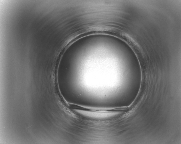 X0000070881025200606302132