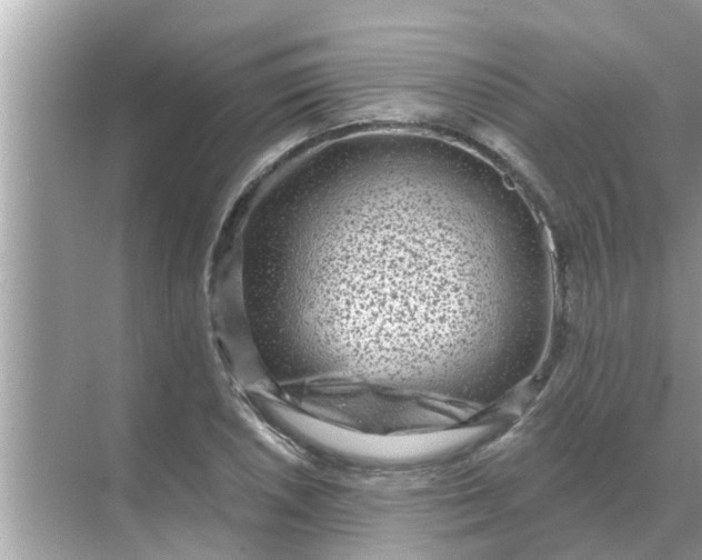 X0000070881026200606302132