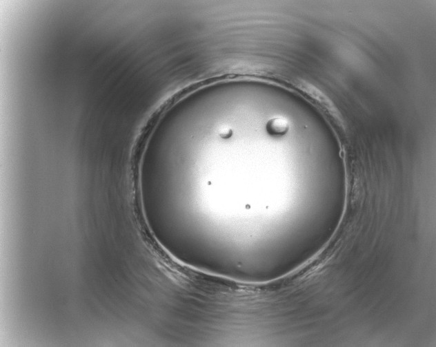 X0000070881027200606302132