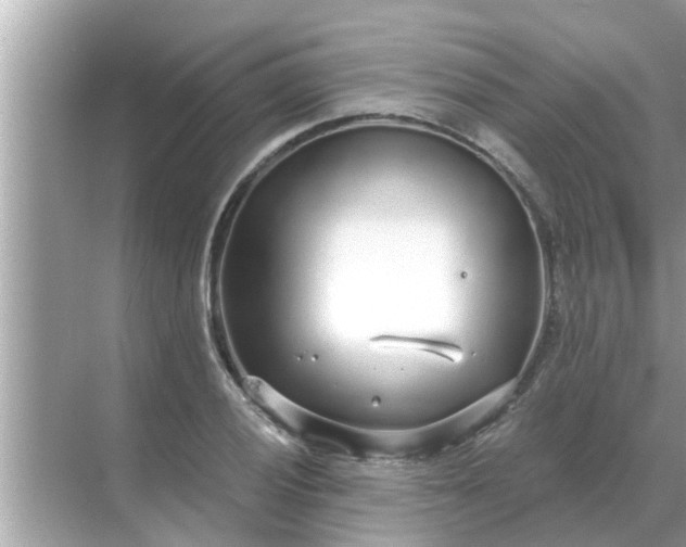 X0000070881028200606302132