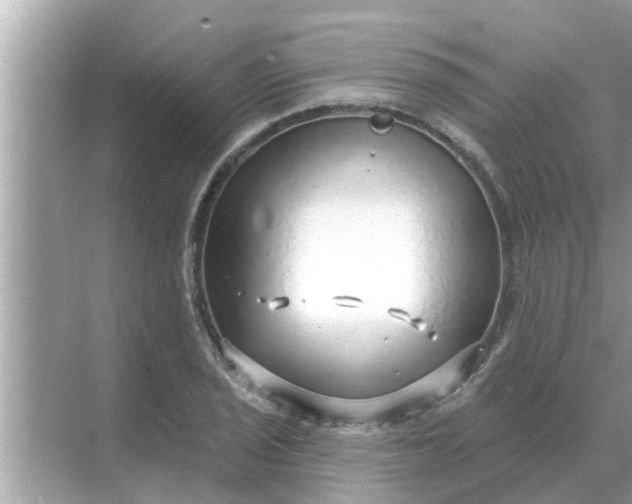 X0000070881029200606302132