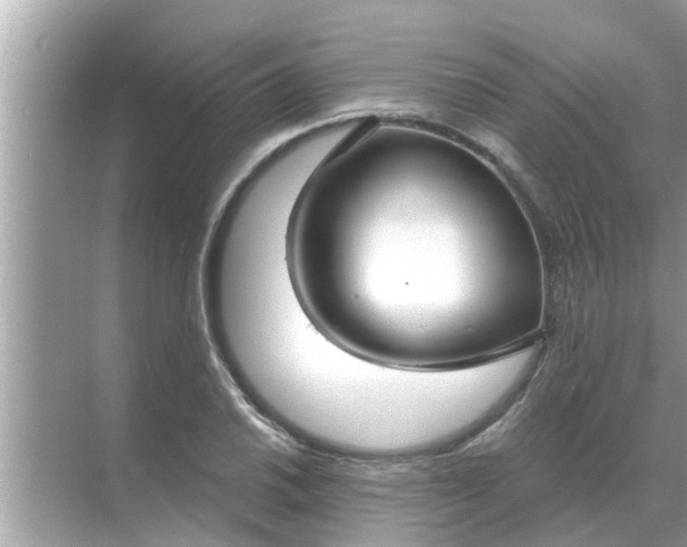 X0000070881030200606302132