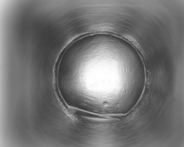 X0000070881031200606302132