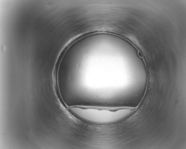 X0000070881032200606302132