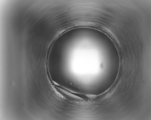 X0000070881033200606302132