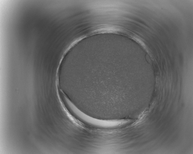 X0000070881034200606302132