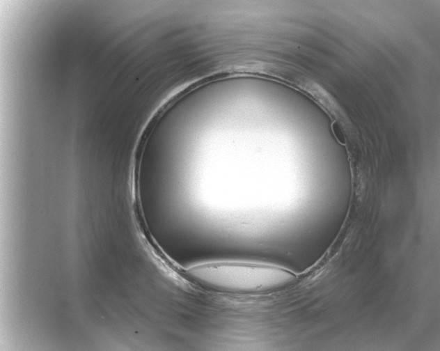 X0000070881036200606302132