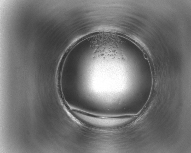 X0000070881037200606302132