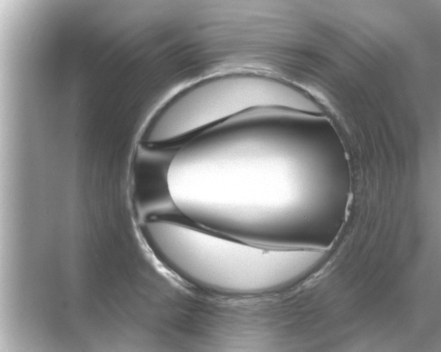 X0000070881038200606302132