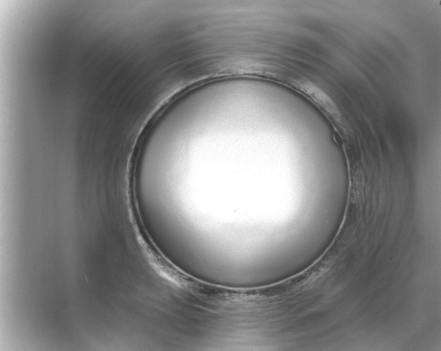 X0000070881039200606302132