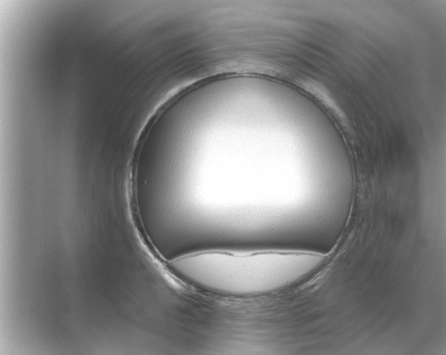 X0000070881040200606302132