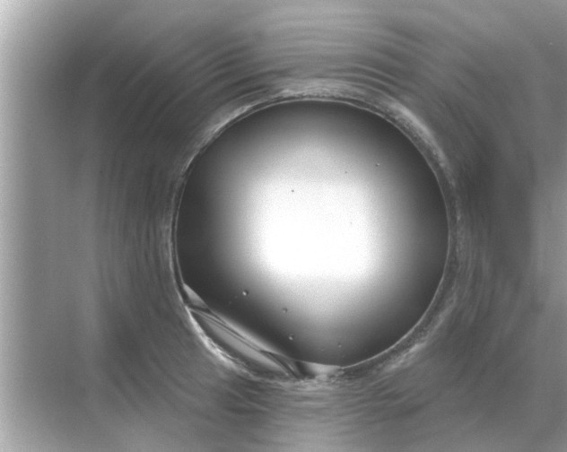 X0000070881041200606302132