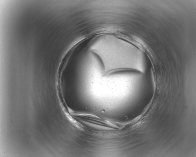 X0000070881042200606302132