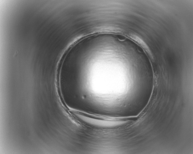 X0000070881043200606302132