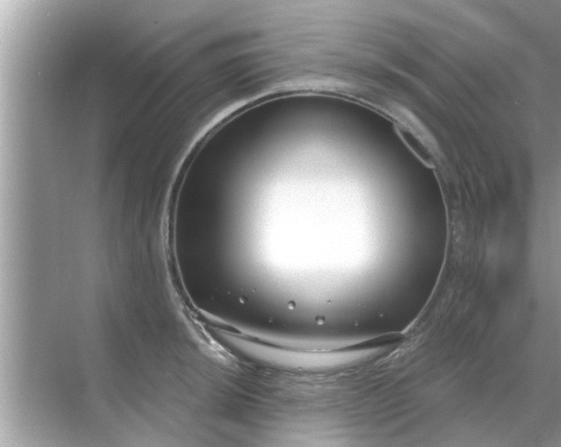 X0000070881044200606302132