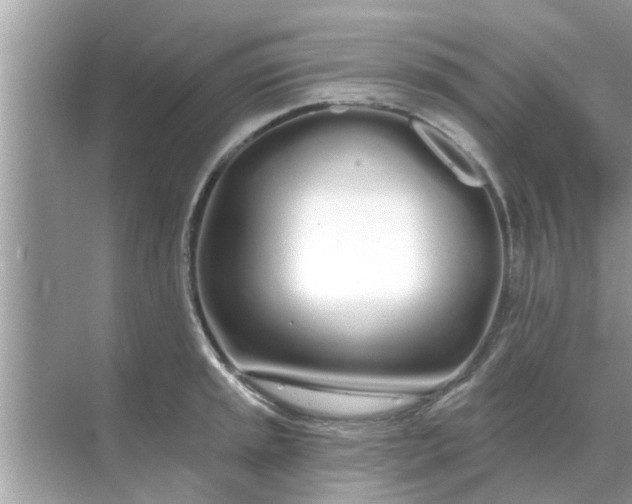 X0000070881045200606302132