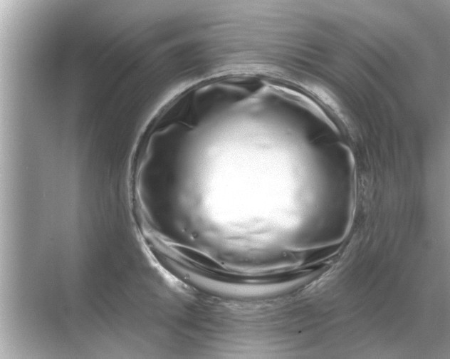 X0000070881046200606302132