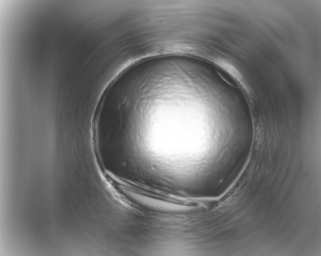 X0000070881047200606302132