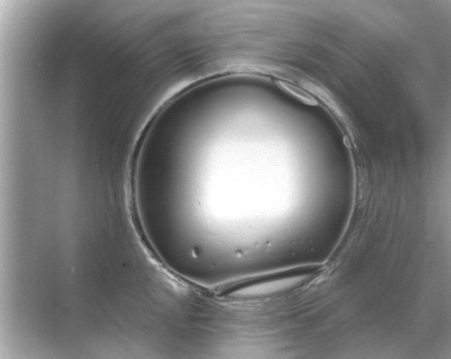 X0000070881048200606302132