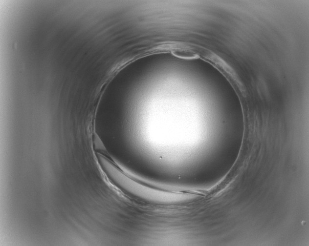 X0000070881049200606302132