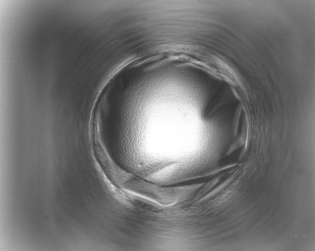 X0000070881050200606302132