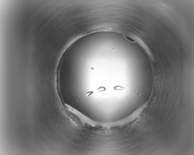 X0000070881051200606302132