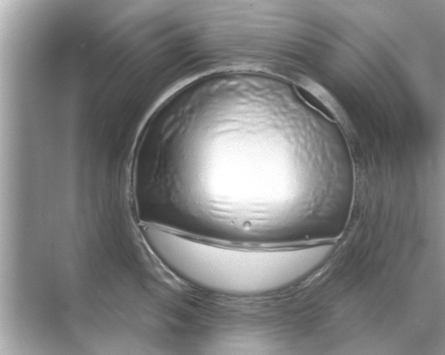 X0000070881052200606302132