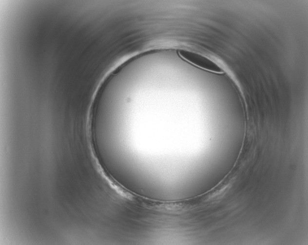 X0000070881053200606302132