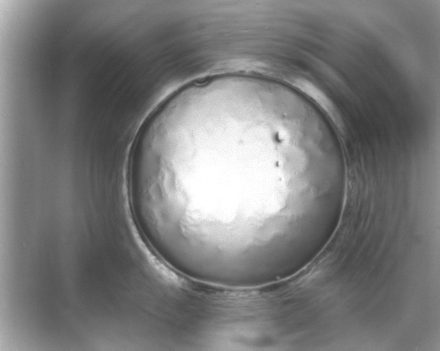 X0000070881055200606302132