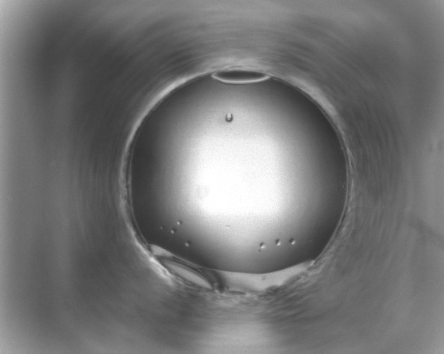 X0000070881056200606302132