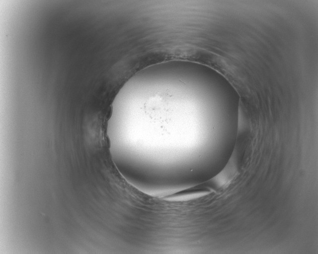 X0000070881058200606302132