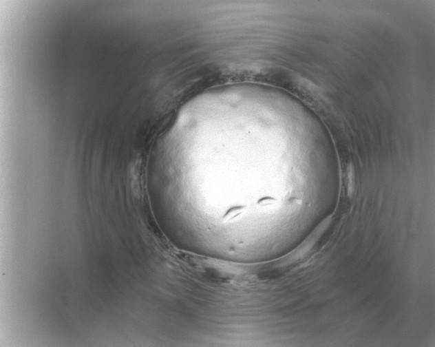 X0000070881059200606302132