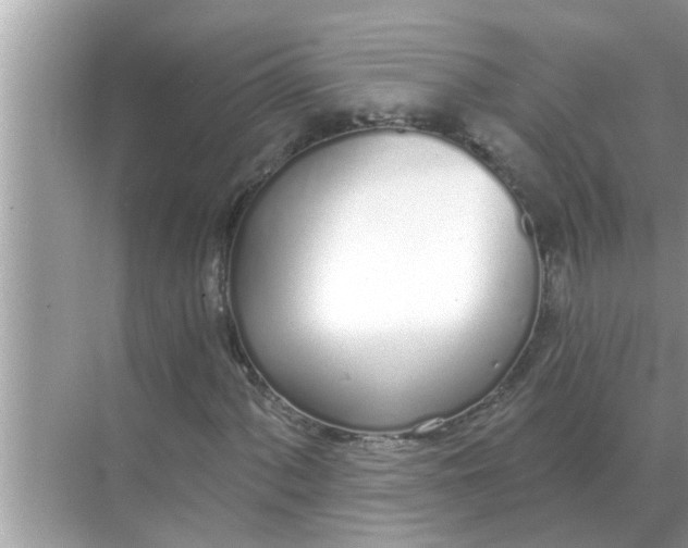 X0000070881060200606302132