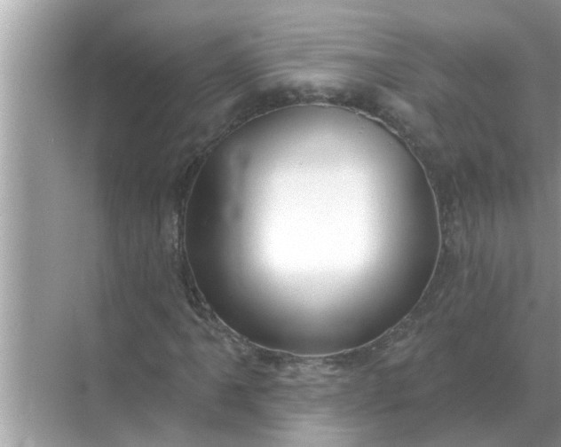 X0000070881061200606302132