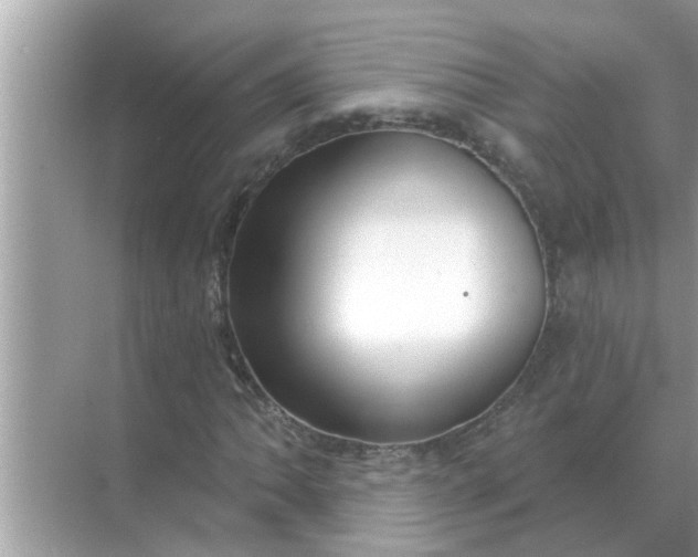 X0000070881062200606302132