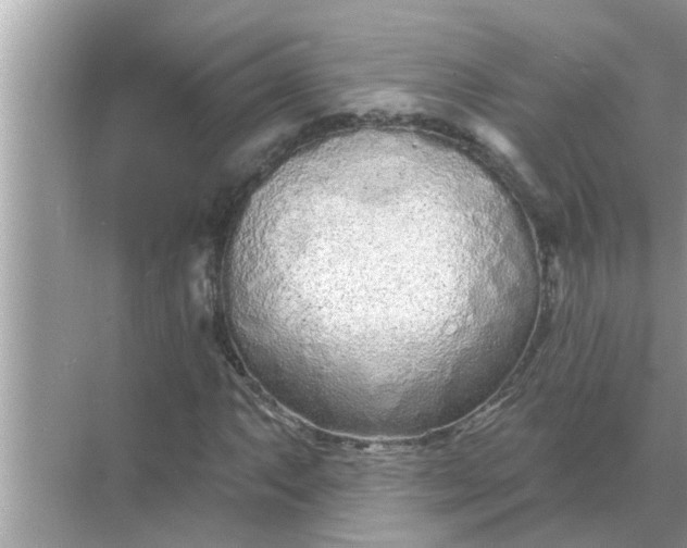 X0000070881063200606302132