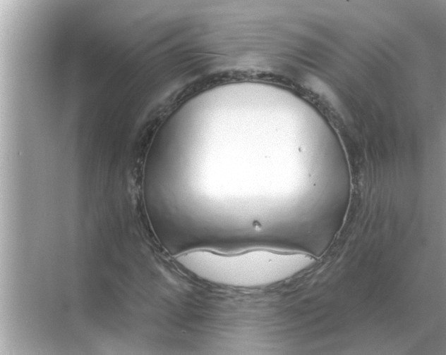 X0000070881064200606302132