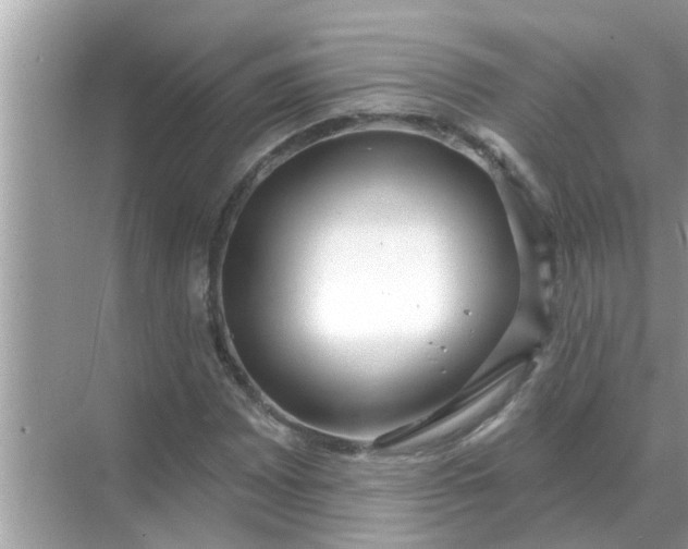 X0000070881065200606302132