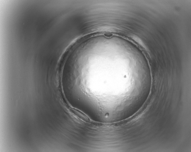 X0000070881067200606302131