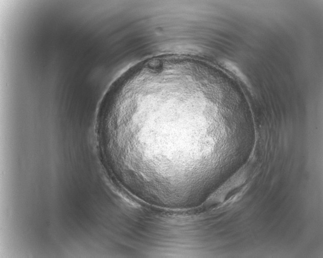 X0000070881071200606302131