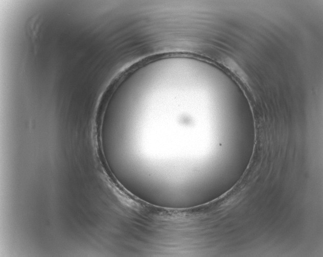 X0000070881072200606302131