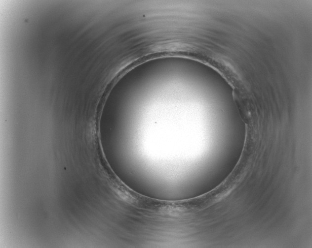 X0000070881073200606302131