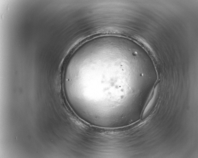 X0000070881075200606302131