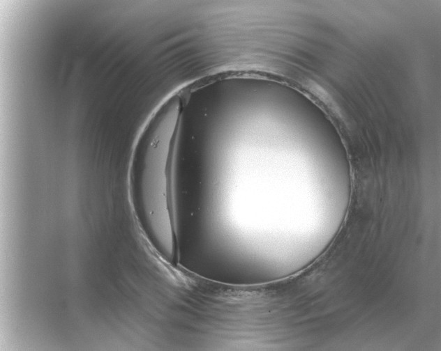 X0000070881076200606302131